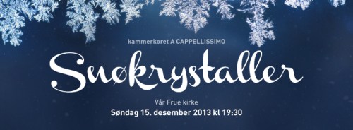 Snøkrystaller_FB_714x264-2