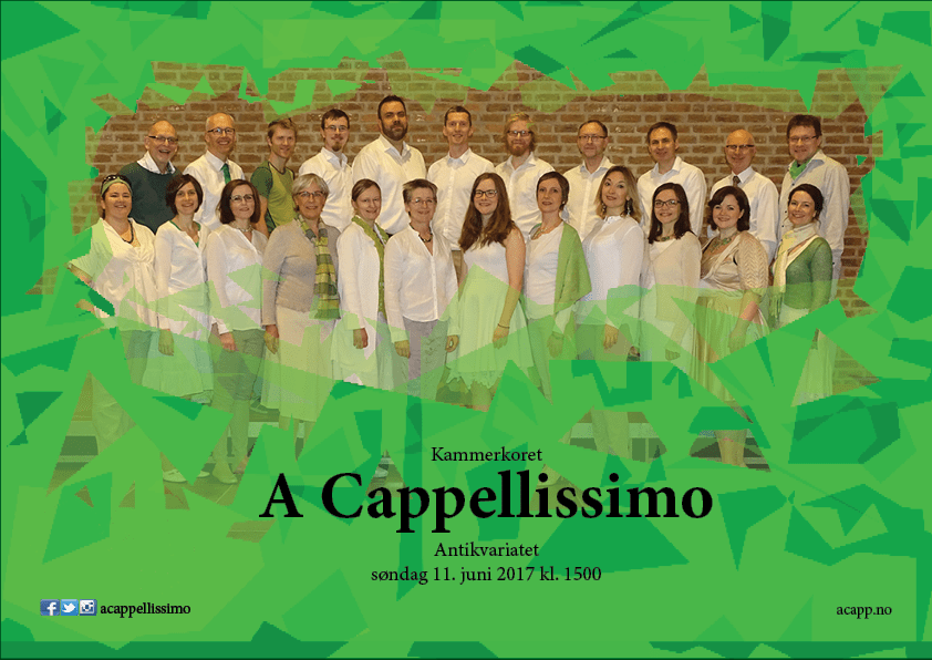 acapp_antikvariatet2017_a4-72dpi