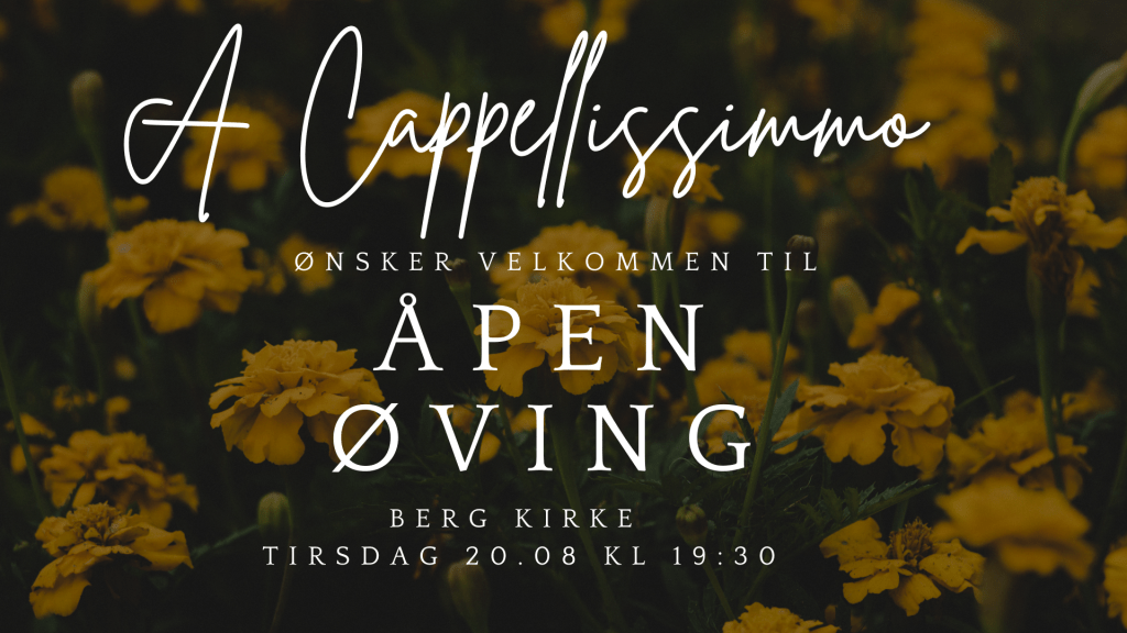 Åpen øving 20.08.2024